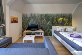 Auszeit-im-Harz Haus 1 Wohnung Brockenzwerg